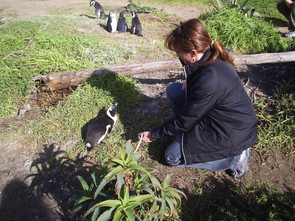 Veterinária Vanessa Gonçalve