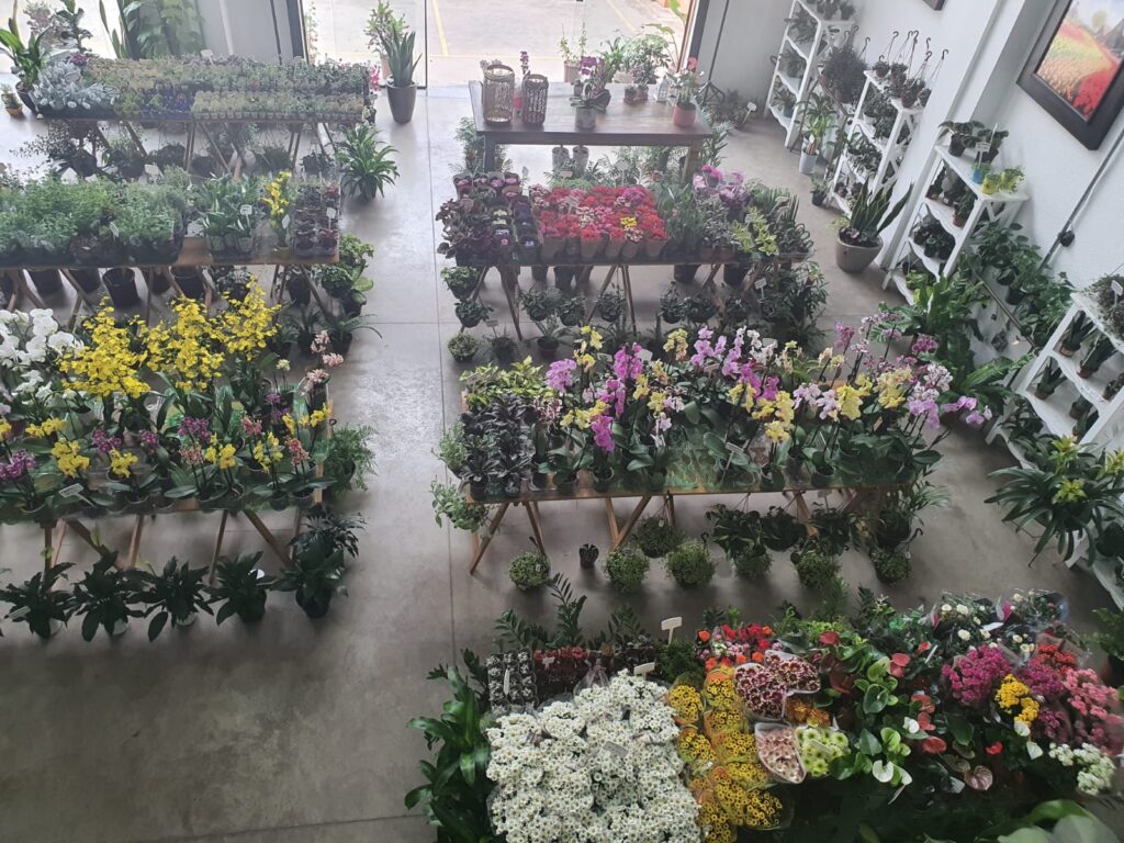 Floricultura Casa Flor em Campinas