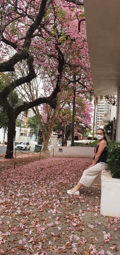 Salete ama fotografar o Cambuí Campinas