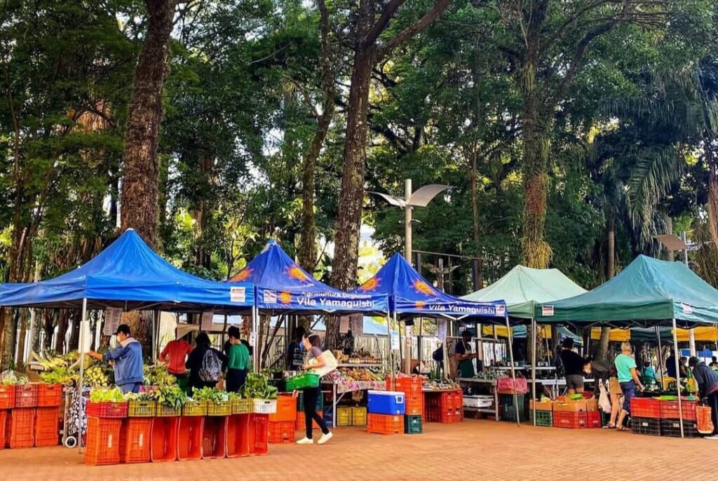 Feira livre no Cambuí Campinas por Jaqueline Bisin