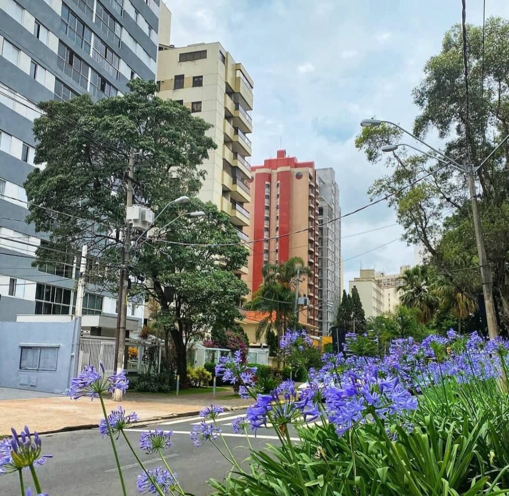 Registro no Cambuí Campinas por Jaqueline Bisin