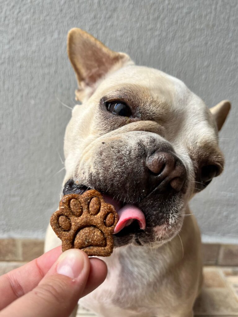 Mordelicious biscoitos para pets